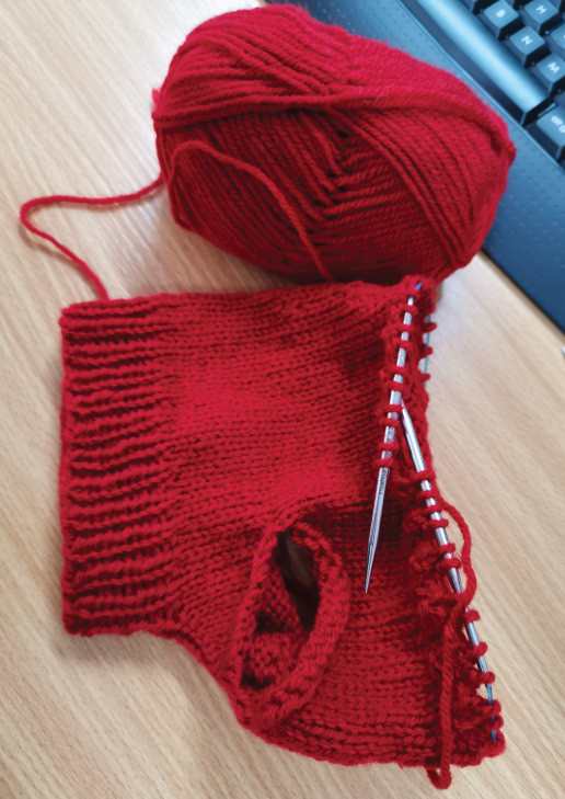 Lola's jumper