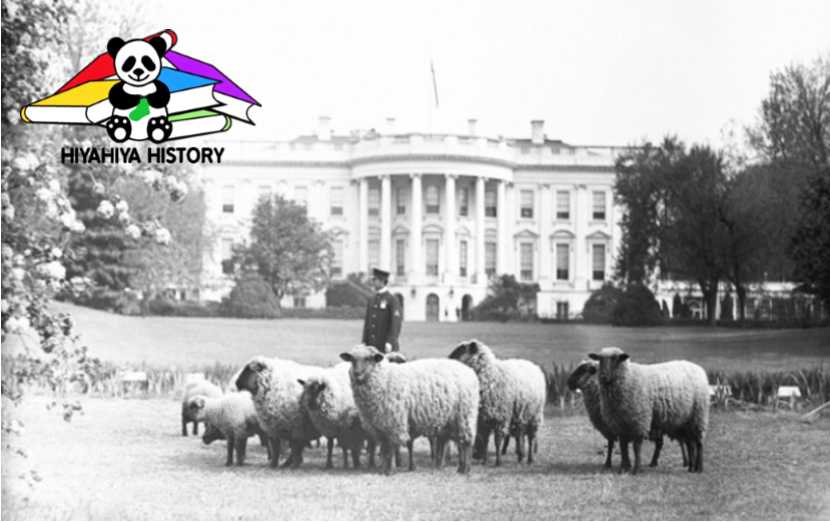 whsheep